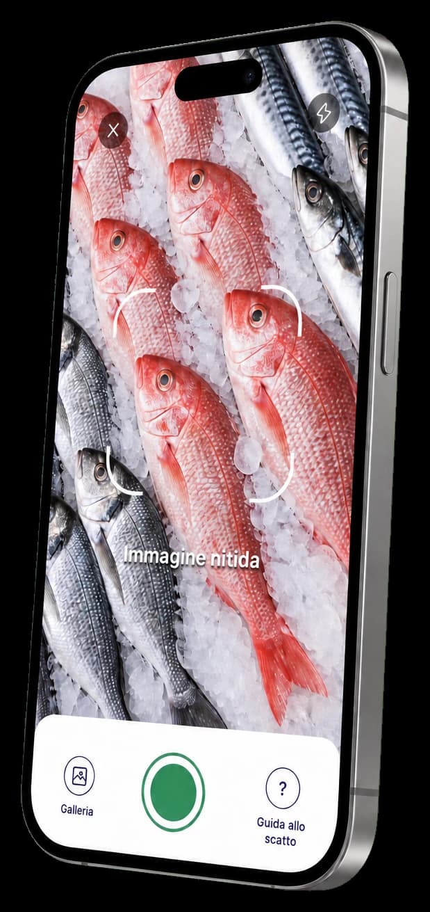 Selya analizza la freschezza del pesce attraverso la fotocamera