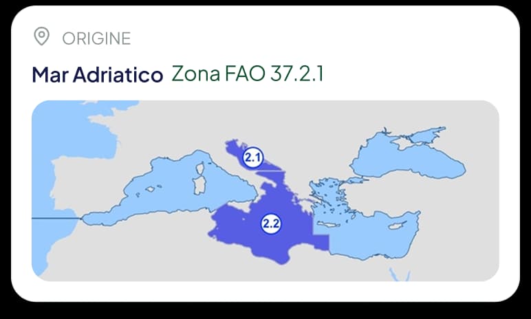 La card Origine nell'app: Mar Adriatico, zona FAO 37.2.1, con la mappa del Mediterraneo