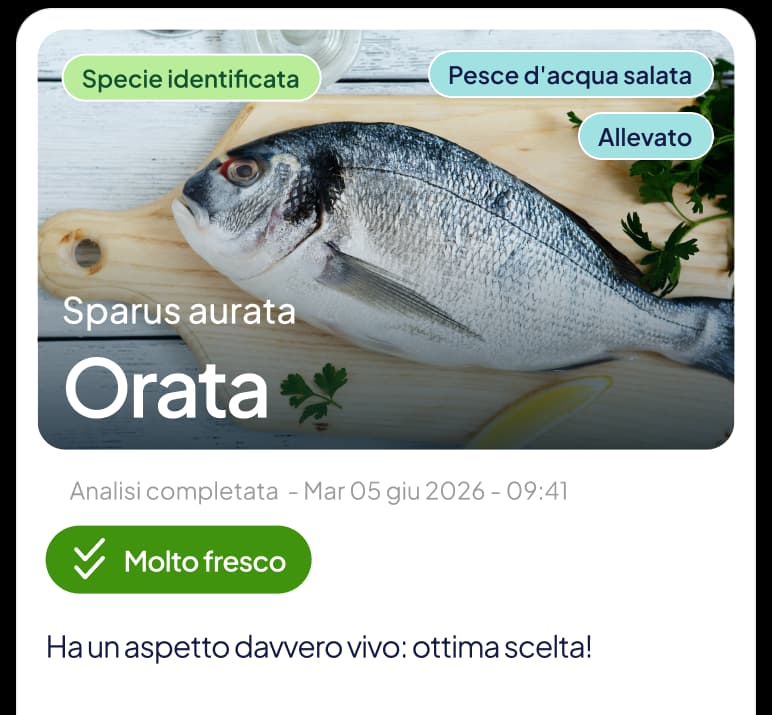 La card di apertura nell'app: specie identificata, orata, pesce d'acqua salata, allevato, con il responso «Molto fresco»