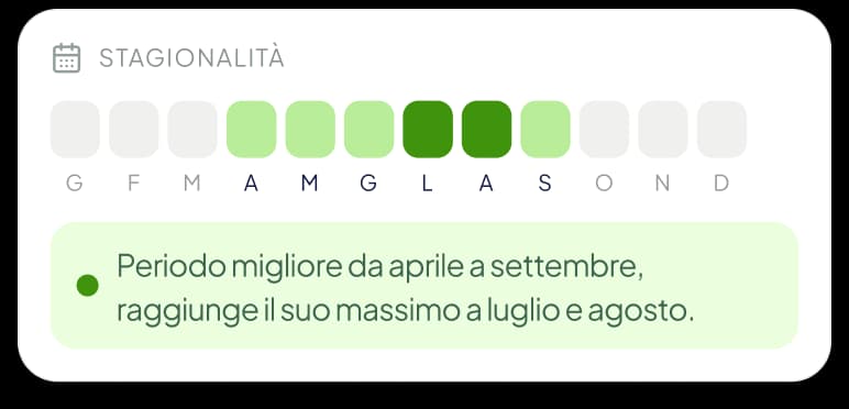 La card Stagionalità nell'app: i dodici mesi dell'anno, con il periodo migliore da aprile a settembre